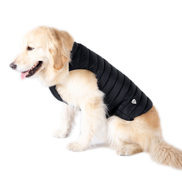 Chaleco Acolchado para Perro DOGGY 24 · Negro