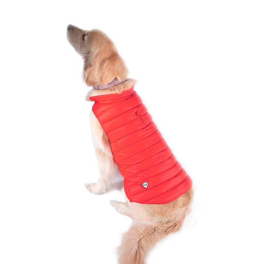 Chaleco Acolchado para Perro DOGGY 24