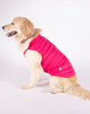 DOGGY Dog Vest
