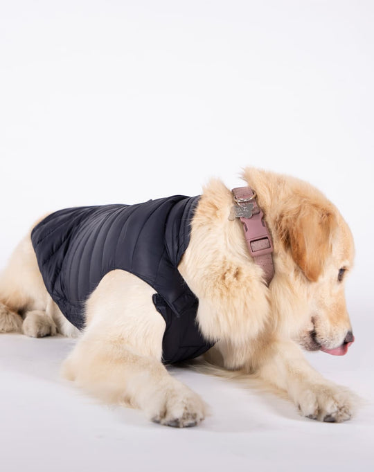 Alysh | Chaleco acolchado empacable DOGGY