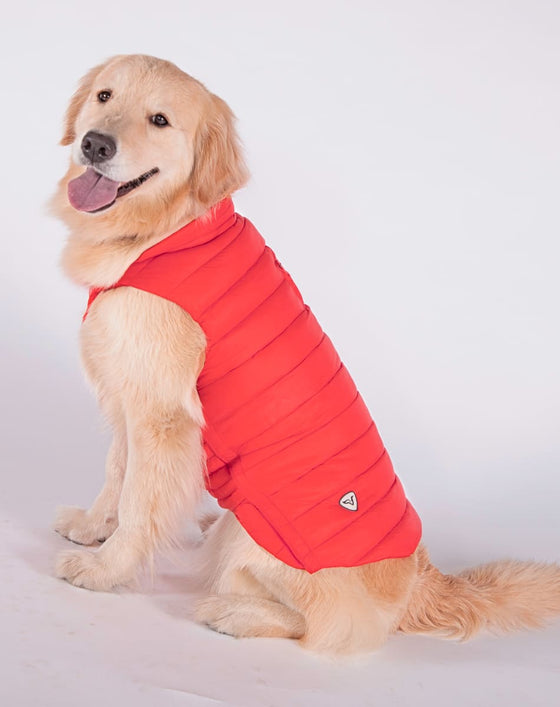 DOGGY Dog Vest