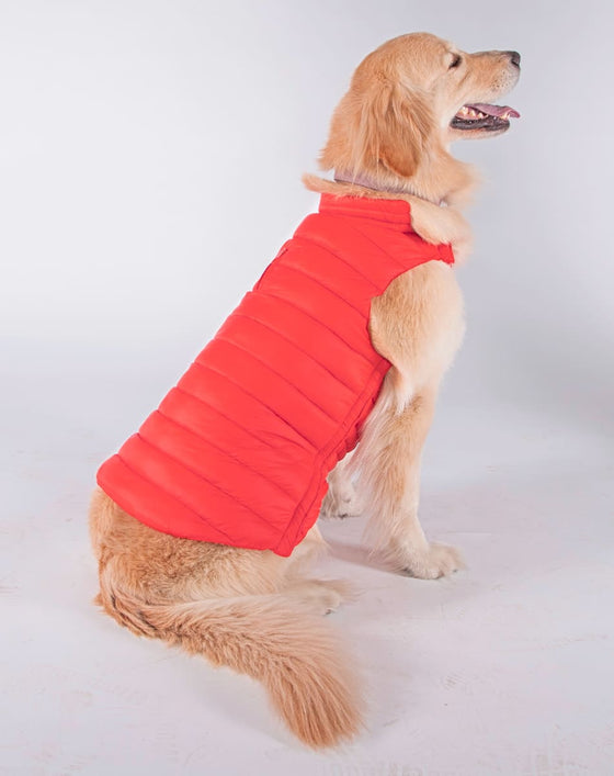DOGGY Dog Vest