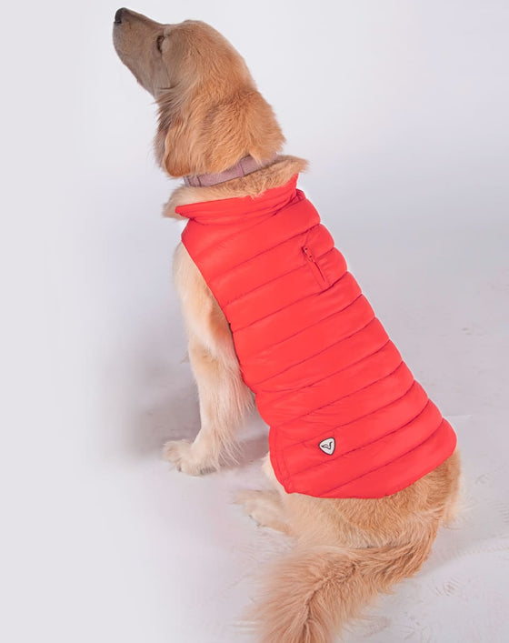 DOGGY Dog Vest