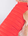 DOGGY Dog Vest